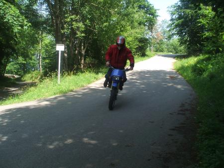 Aurelien